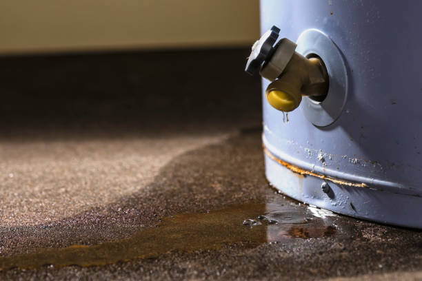 Best Basement water damage restoration  in Starkville, MS