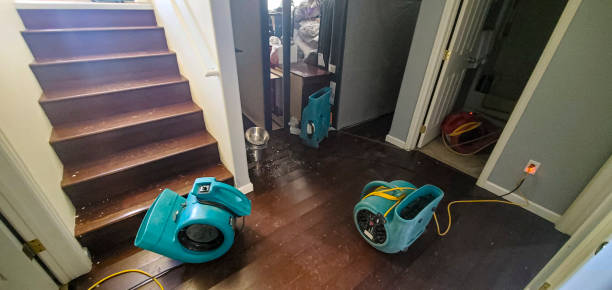 Best Flood restoration services  in Starkville, MS