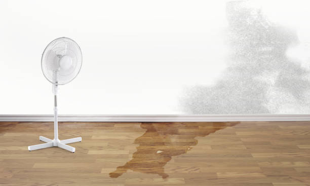  Starkville, MS Water damage restoration Pros