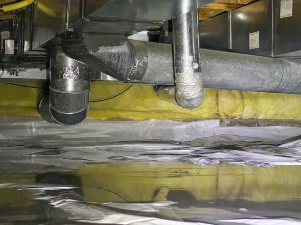 Best Water damage cleanup near me  in Starkville, MS